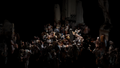 Crowd by Francesco Papetti, 2022